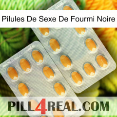 Black Ant Sex Pills cialis4